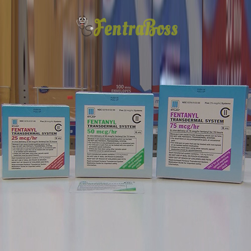 Mylan Fentanyl Patch